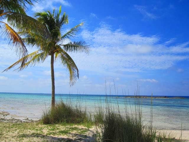 dead-mens-reef-bahamas dead-mens-reef-bahamas