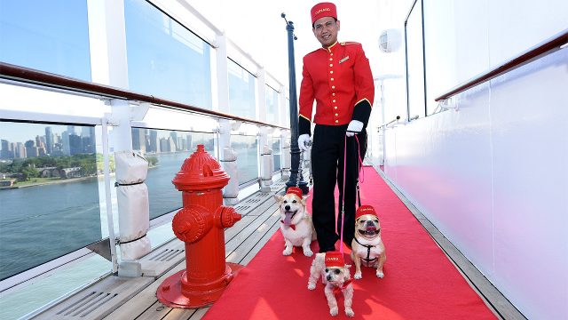 Cunard Kreuzfahrt mit Hund oder Katze
