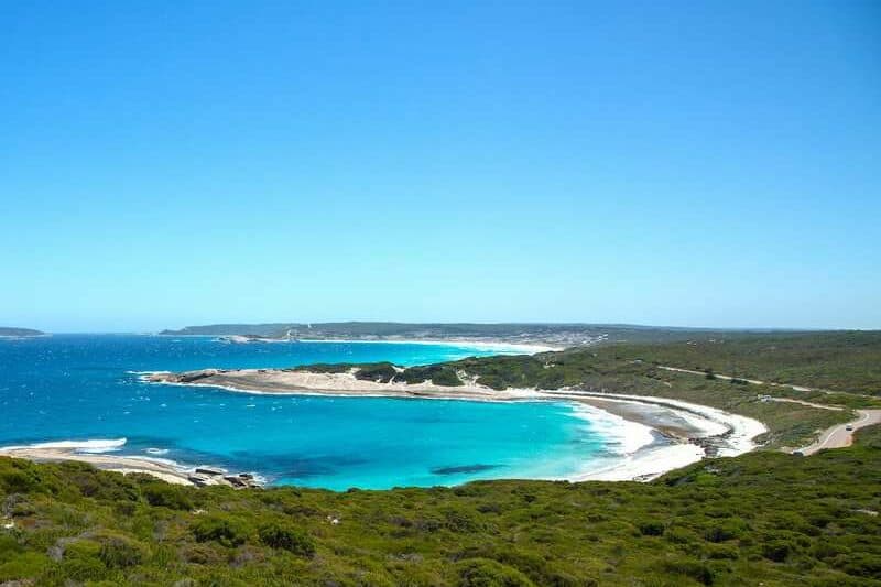 trees around bay on sea shore