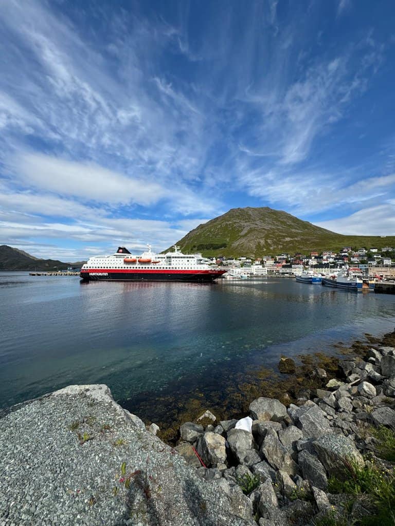 view of a cruise ship near the shore