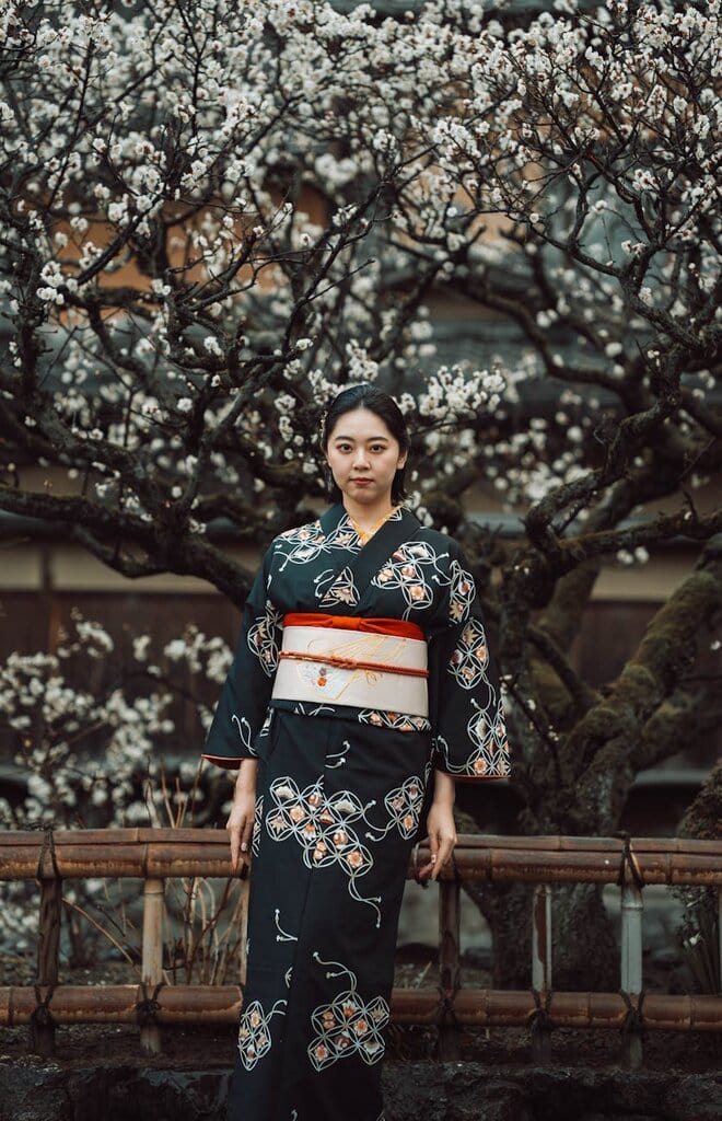 japanese woman in kimono among cherry blossoms