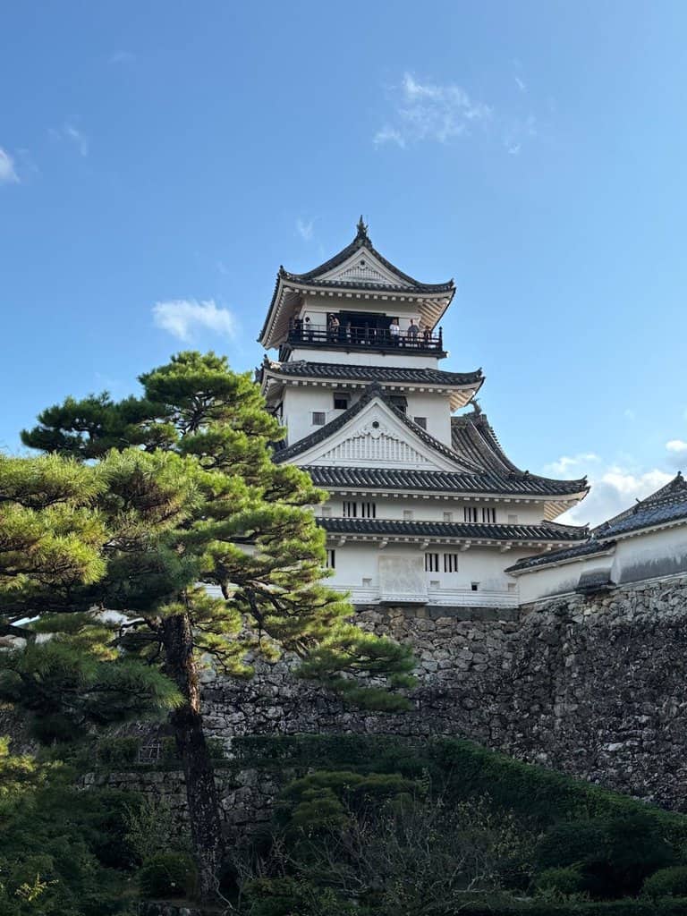 historic kochi castle in springtime japan